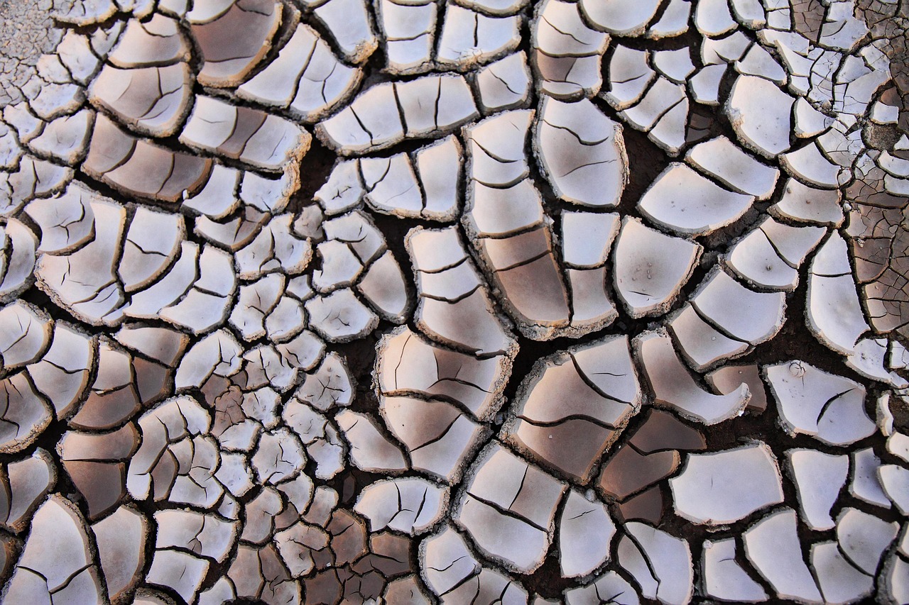 découvrez les causes, les conséquences et les solutions pour prévenir l'érosion des sols, un phénomène impactant l'agriculture et l'environnement.