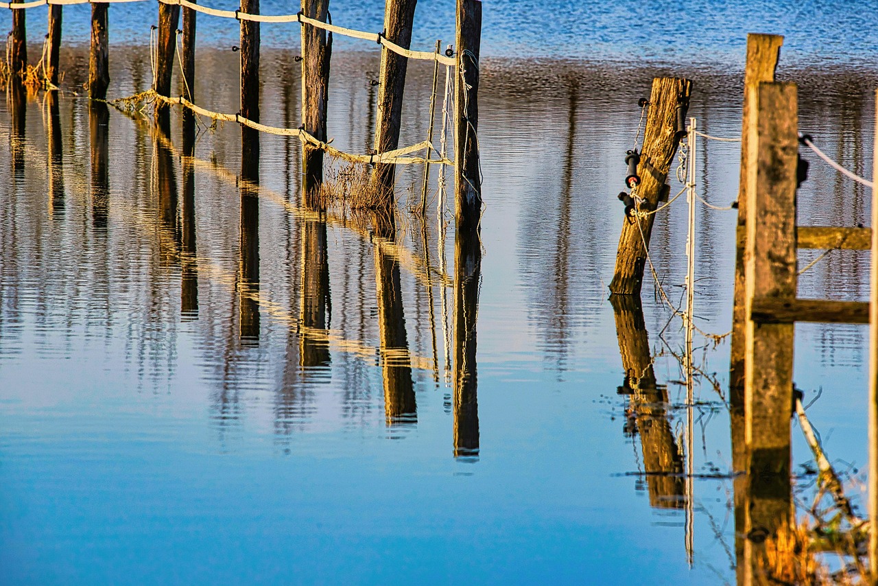 découvrez tout ce qu'il faut savoir sur les inondations : causes, prévention, impacts et conseils pour protéger vos biens et votre sécurité.