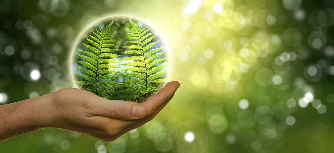découvrez comment les femmes jouent un rôle essentiel dans la protection de l'environnement, en menant des initiatives innovantes et en promouvant la durabilité. explorez les contributions uniques des femmes dans les mouvements écologiques et leur impact sur la préservation de notre planète.