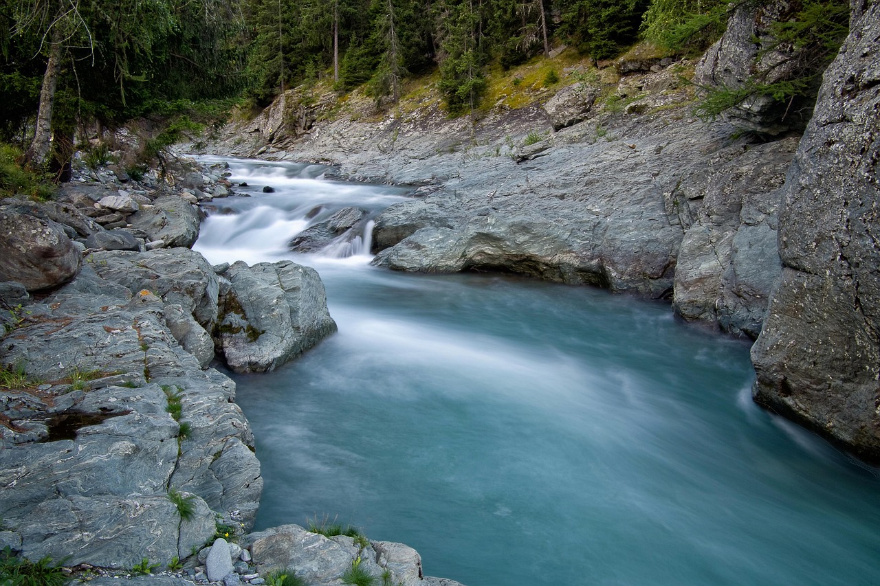 découvrez l'importance de l'environnement et comment préserver notre planète pour un avenir durable. conseils, actualités et actions écologiques.