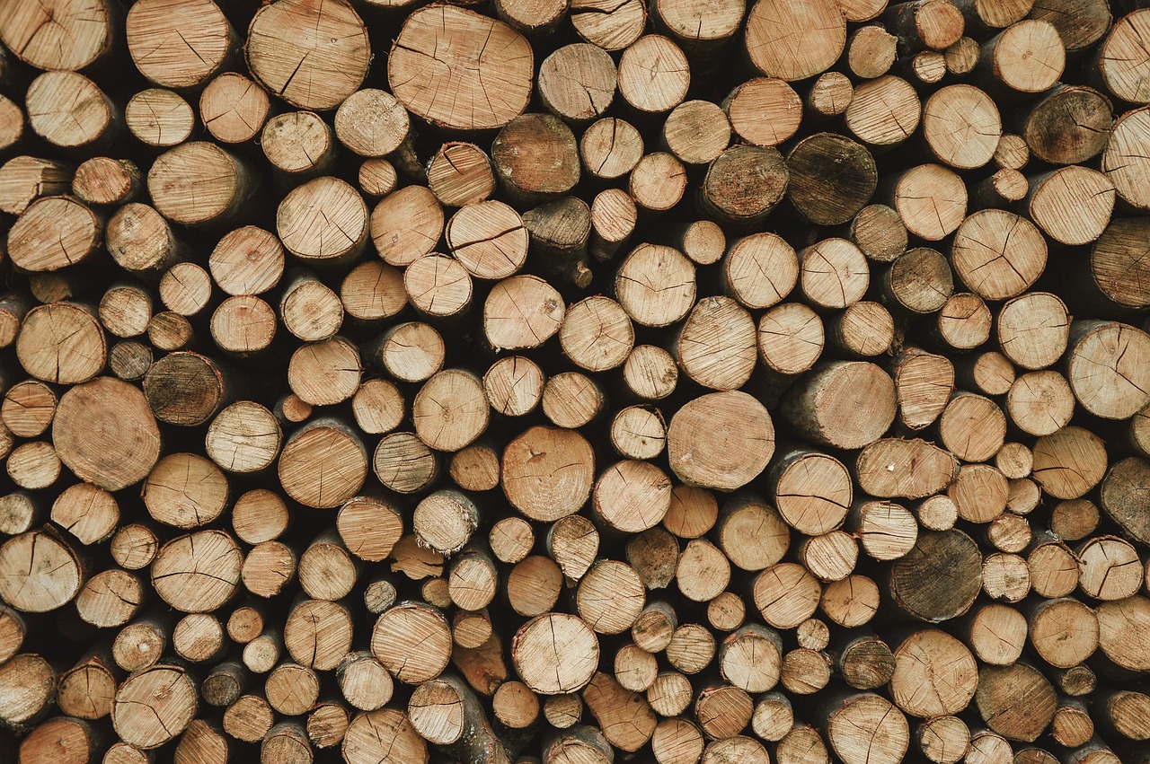 découvrez les enjeux de la déforestation, ses causes et ses conséquences sur l'environnement. apprenez comment cette pratique menace la biodiversité et contribue au changement climatique, et explorez des solutions durables pour préserver nos forêts.