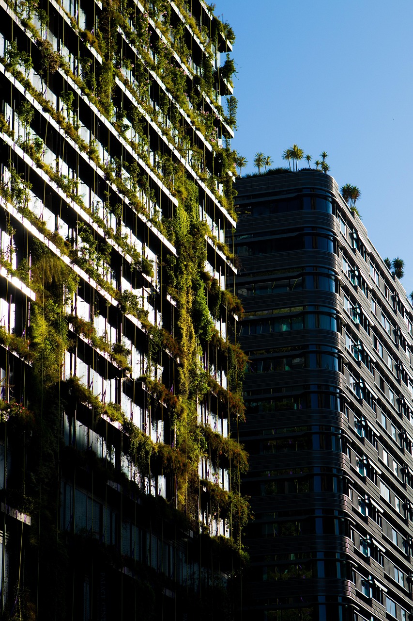 découvrez nos initiatives durables pour un avenir respectueux de l'environnement et engagé dans la responsabilité sociale.