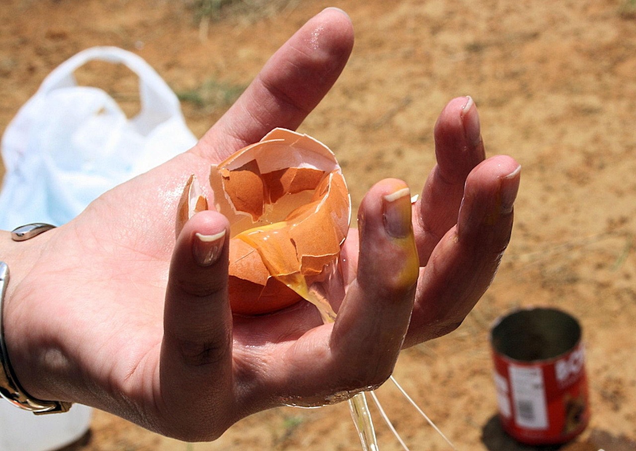 découvrez des astuces et solutions pour réduire le gaspillage alimentaire et adopter une consommation responsable au quotidien.