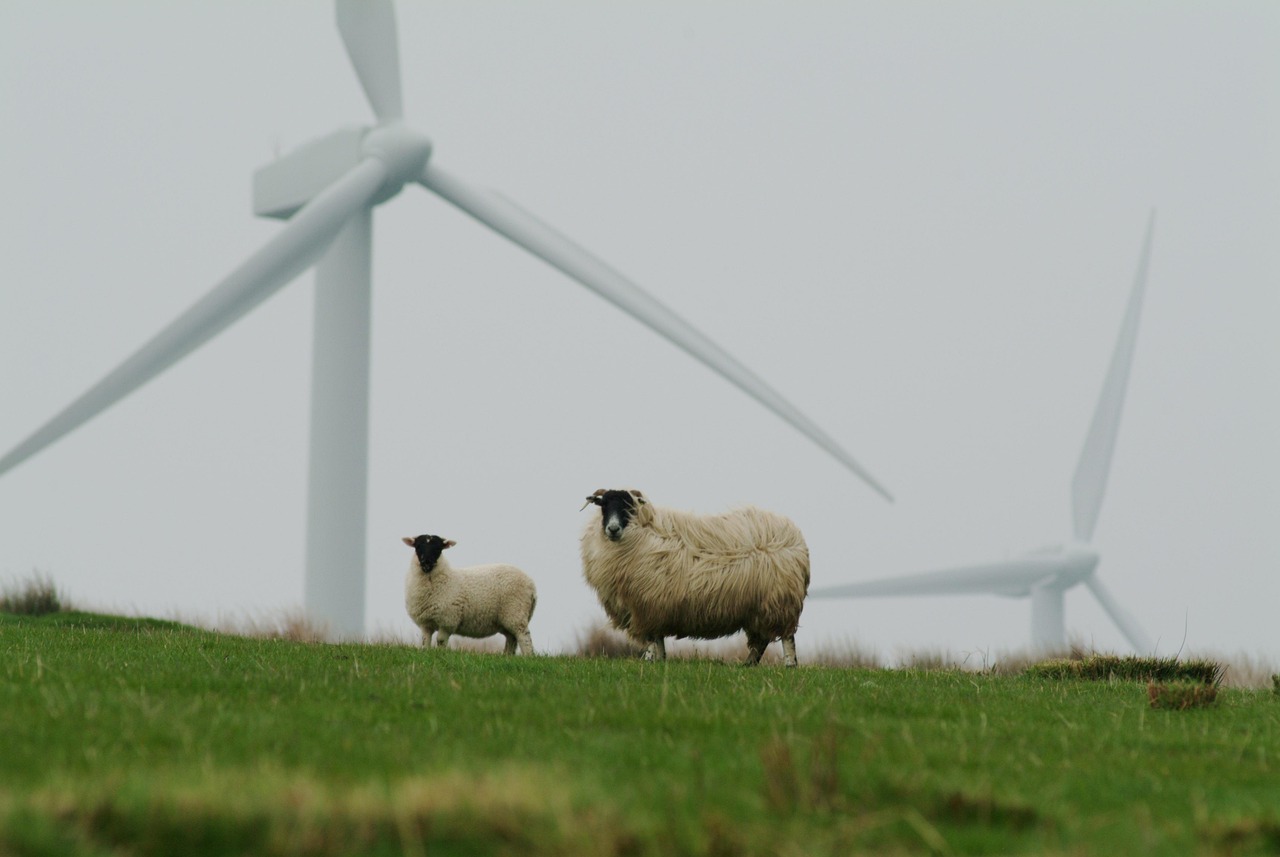 découvrez comment adopter des pratiques durables pour préserver l’environnement, économiser les ressources et construire un avenir plus respectueux avec notre guide complet sur la sustainability.