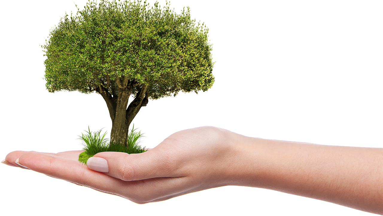 découvrez l'écologie urbaine, une approche innovante qui explore les interactions entre les écosystèmes et les villes. apprenez comment les espaces urbains peuvent favoriser la biodiversité, améliorer la qualité de vie et promouvoir un développement durable grâce à des pratiques écologiques.