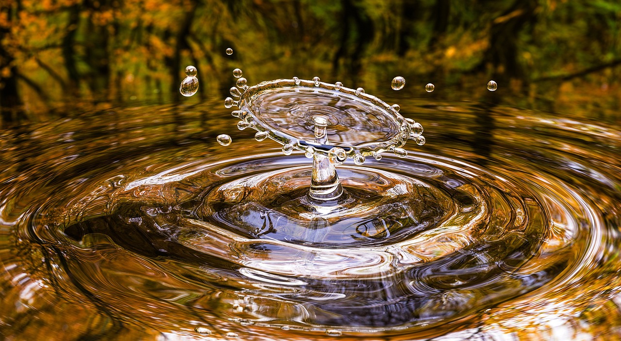 Économie circulaire : vers un modèle durable et responsable