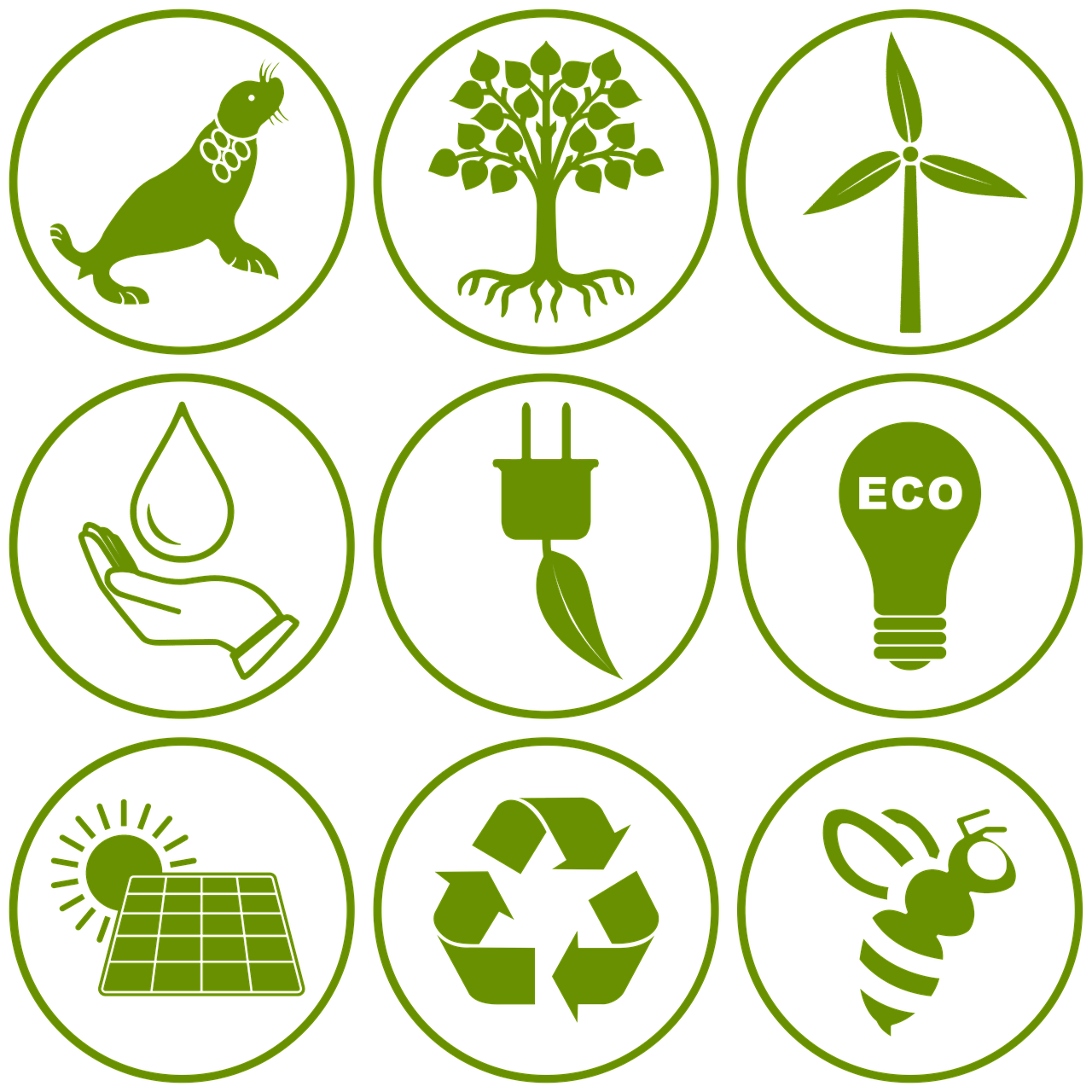 Protection de la planète : 10 gestes simples pour un avenir durable