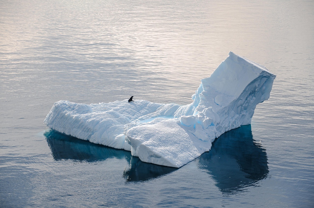 L’Antarctique à l’heure du climat : révélations de la CIA et analyse de la crise politique à travers le prisme des médias internationaux