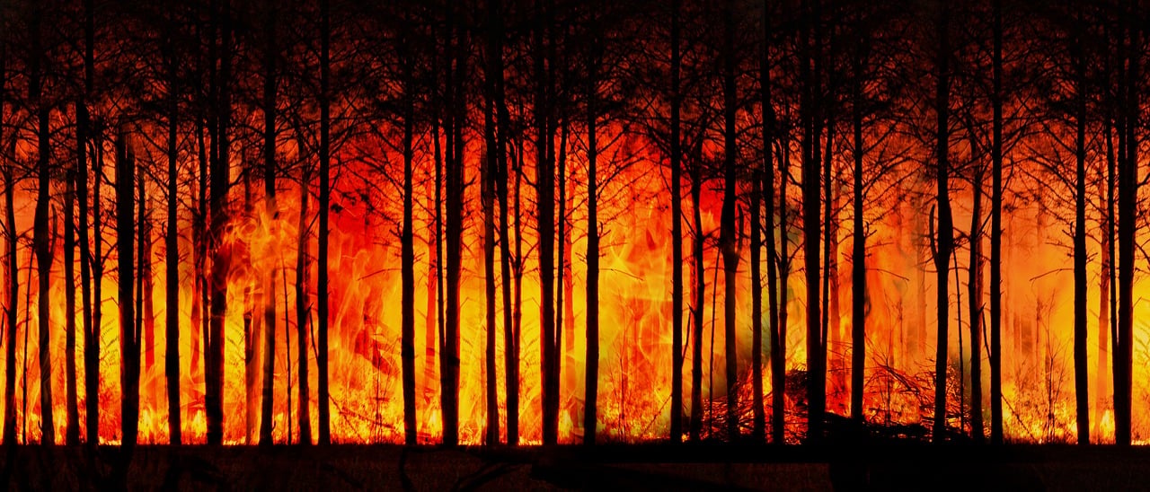 Explorer le réchauffement climatique : les changements que nous avons imposés à notre planète