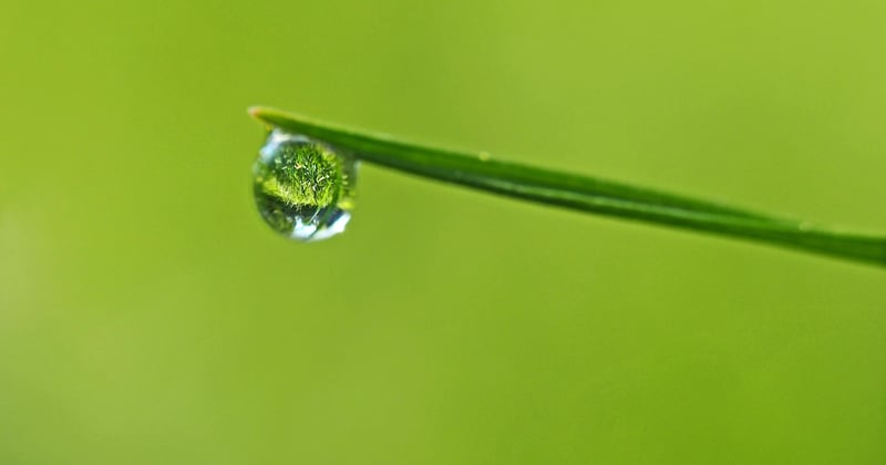 Comment recycler l'eau de pluie à la maison pour un jardin écologique