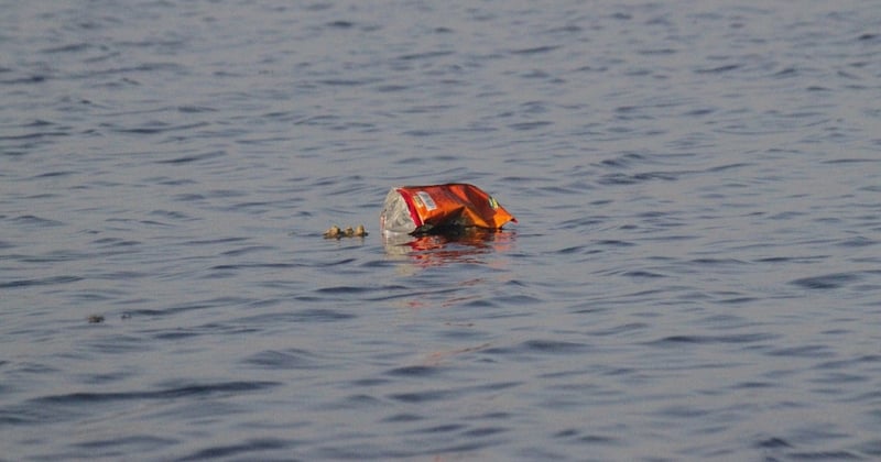 Comment réduire la pollution plastique des océans : 7 solutions