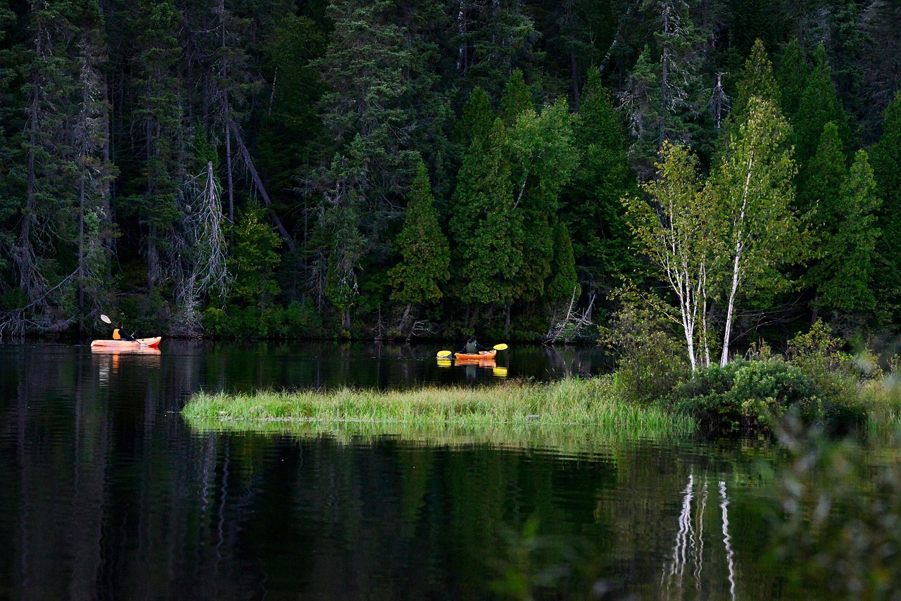 Sept succès méconnus mais cruciaux pour le climat et la biodiversité en 2025