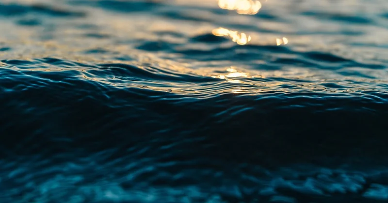Microplastiques : la bataille invisible qui se joue dans vos égouts
