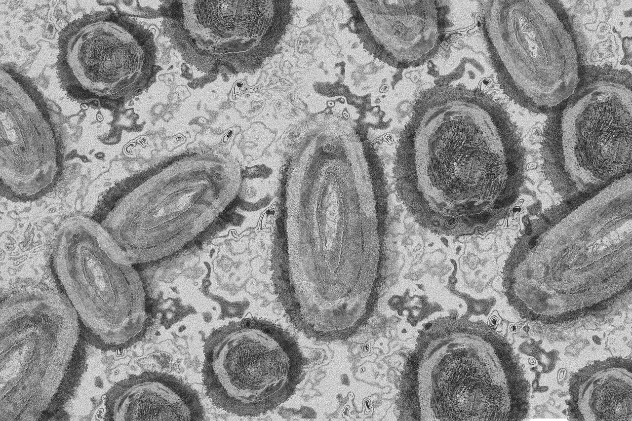 Maladies infectieuses et changement climatique : comprendre et anticiper un nouvel enjeu sanitaire