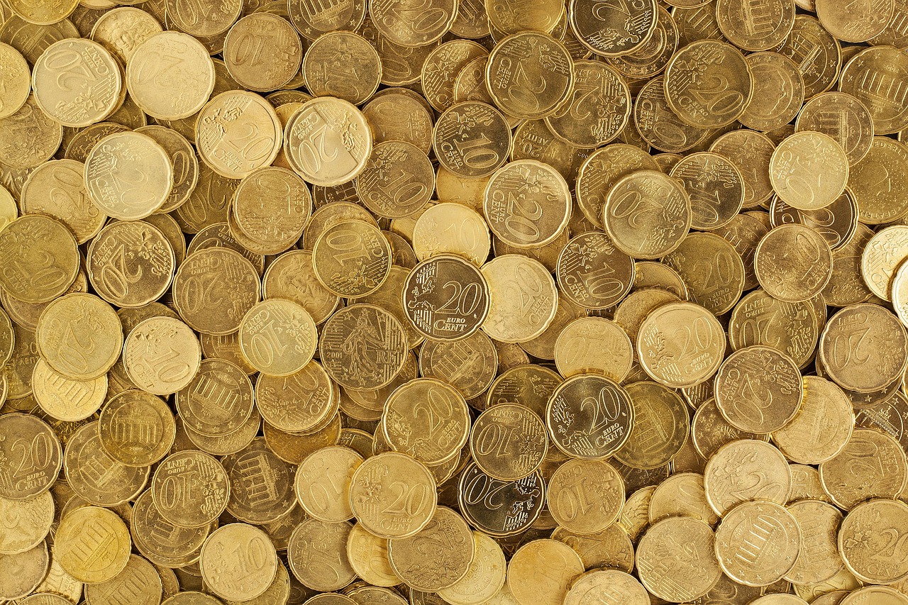 Coupes budgétaires : l’écologie une fois de plus sacrifiée sur l’autel des économies ?