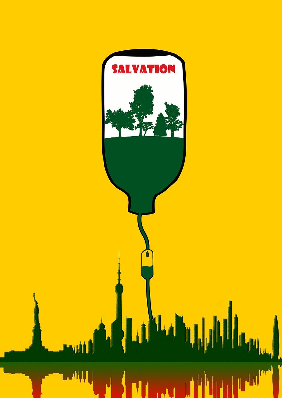 La préservation de l’environnement aux États-Unis : une odyssée géohistorique explorant les relations complexes entre une société et son territoire