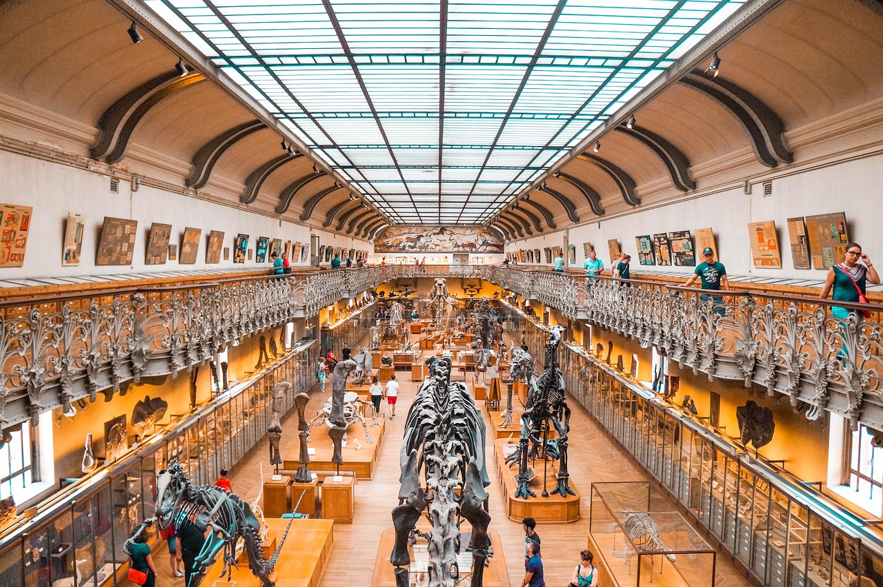 Évolution de la Terre et du Climat : Un Voyage à Travers l’Histoire de la Vie