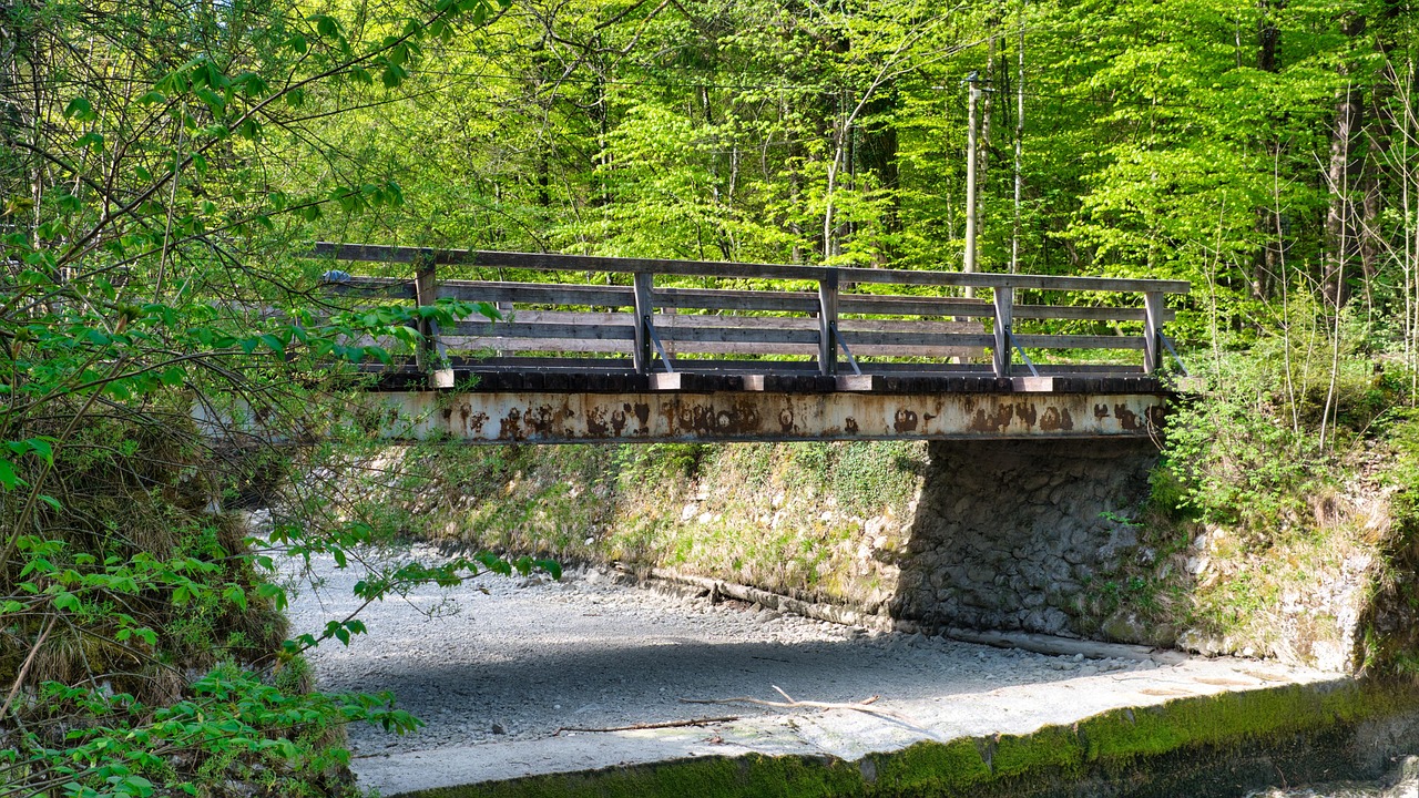 Webinaire : Accélérer la Transition Verte grâce aux Banques de Développement