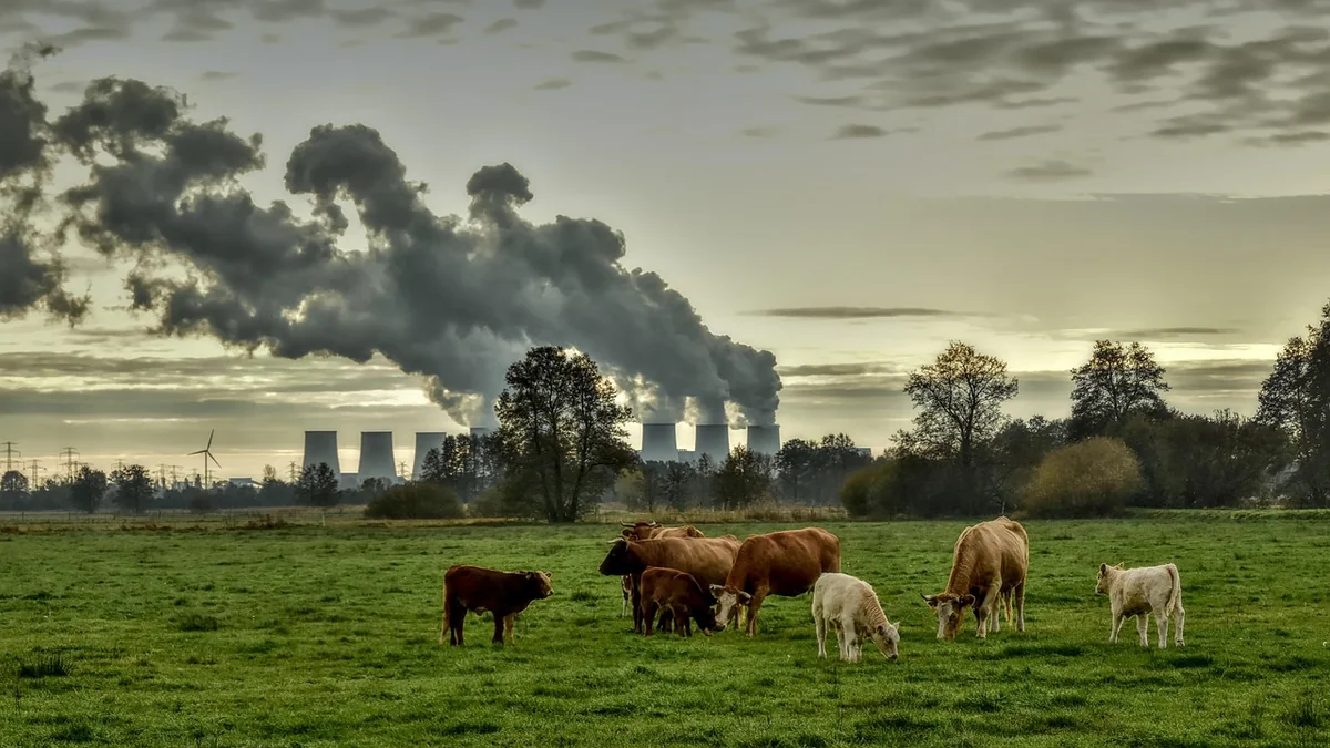 Climat : la Bretagne engage une transformation majeure pour réduire drastiquement ses émissions