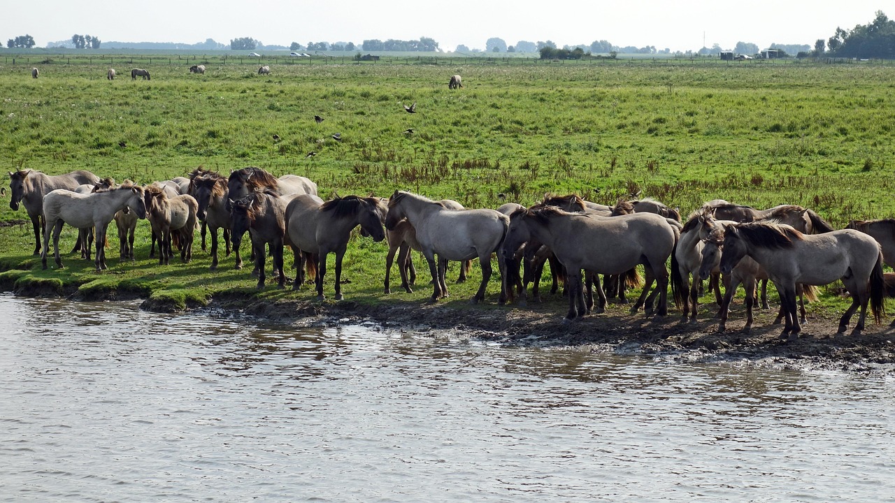 Le Maroc multiplie par trois ses territoires protégés pour renforcer la conservation et lutter contre le changement climatique