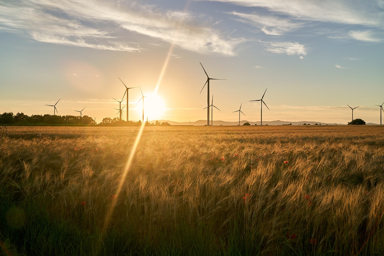 Les énergies renouvelables et la politique étrangère