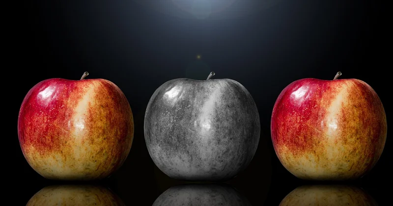 Comparaison des méthodes : ce que vous devez savoir avant de choisir