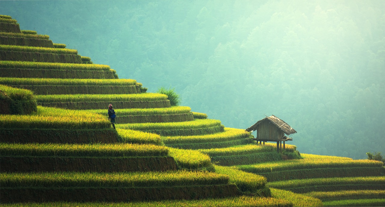 Paysage durable : 5 stratégies pour créer un environnement résilient