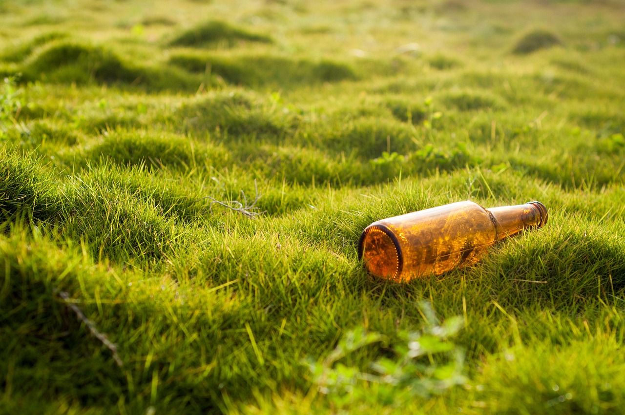 Santé environnementale : comprendre les impacts de notre milieu sur notre bien-être