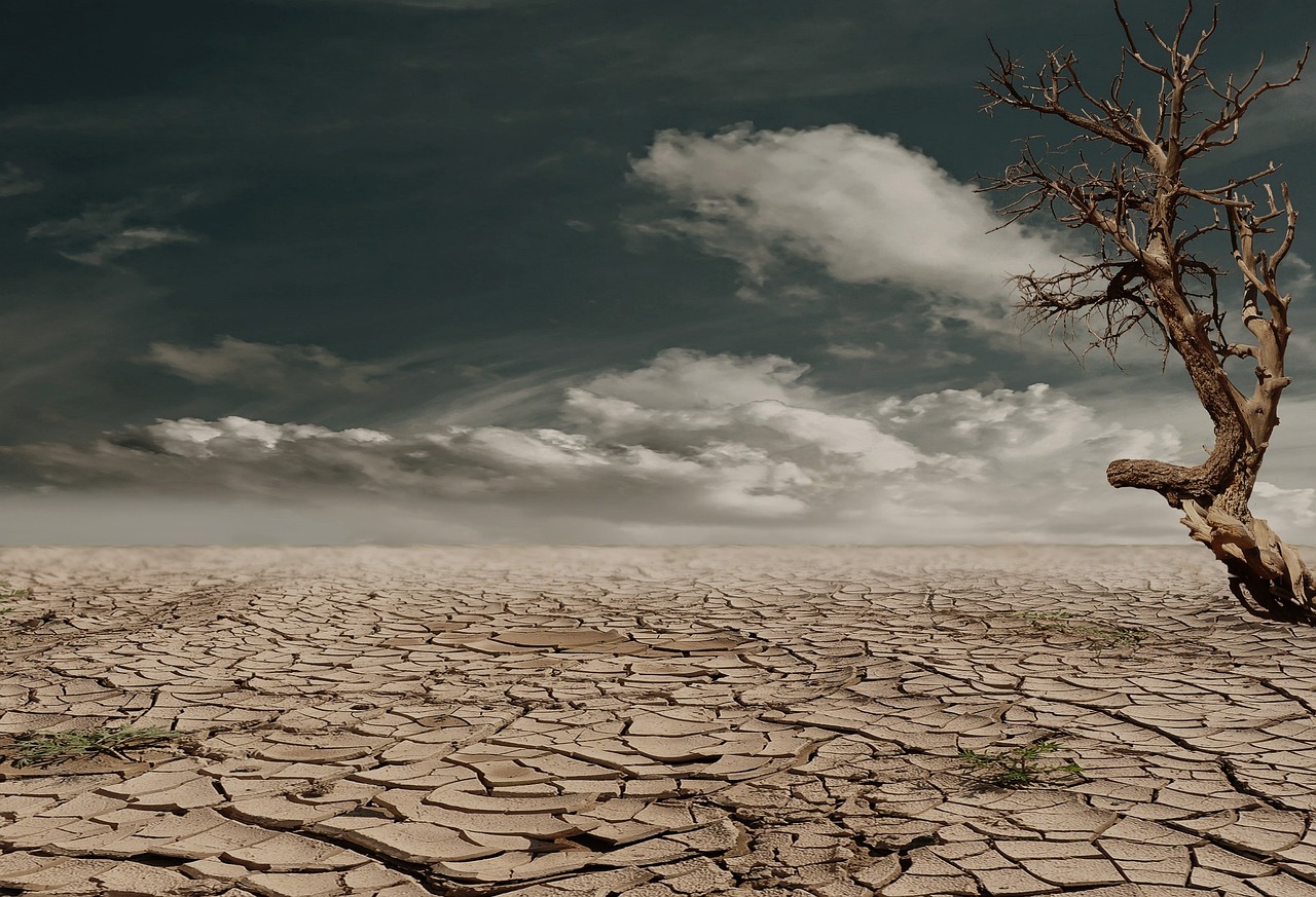 En Afrique subsaharienne, l’érosion des sols compromet la production de maïs au même titre que le changement climatique
