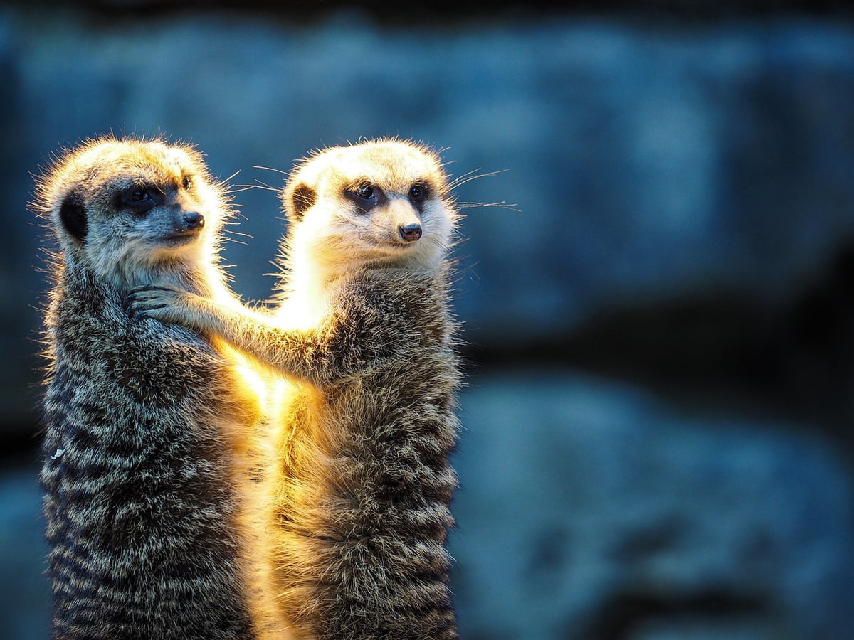 Changement de comportement : Comprendre les facteurs qui influencent nos habitudes