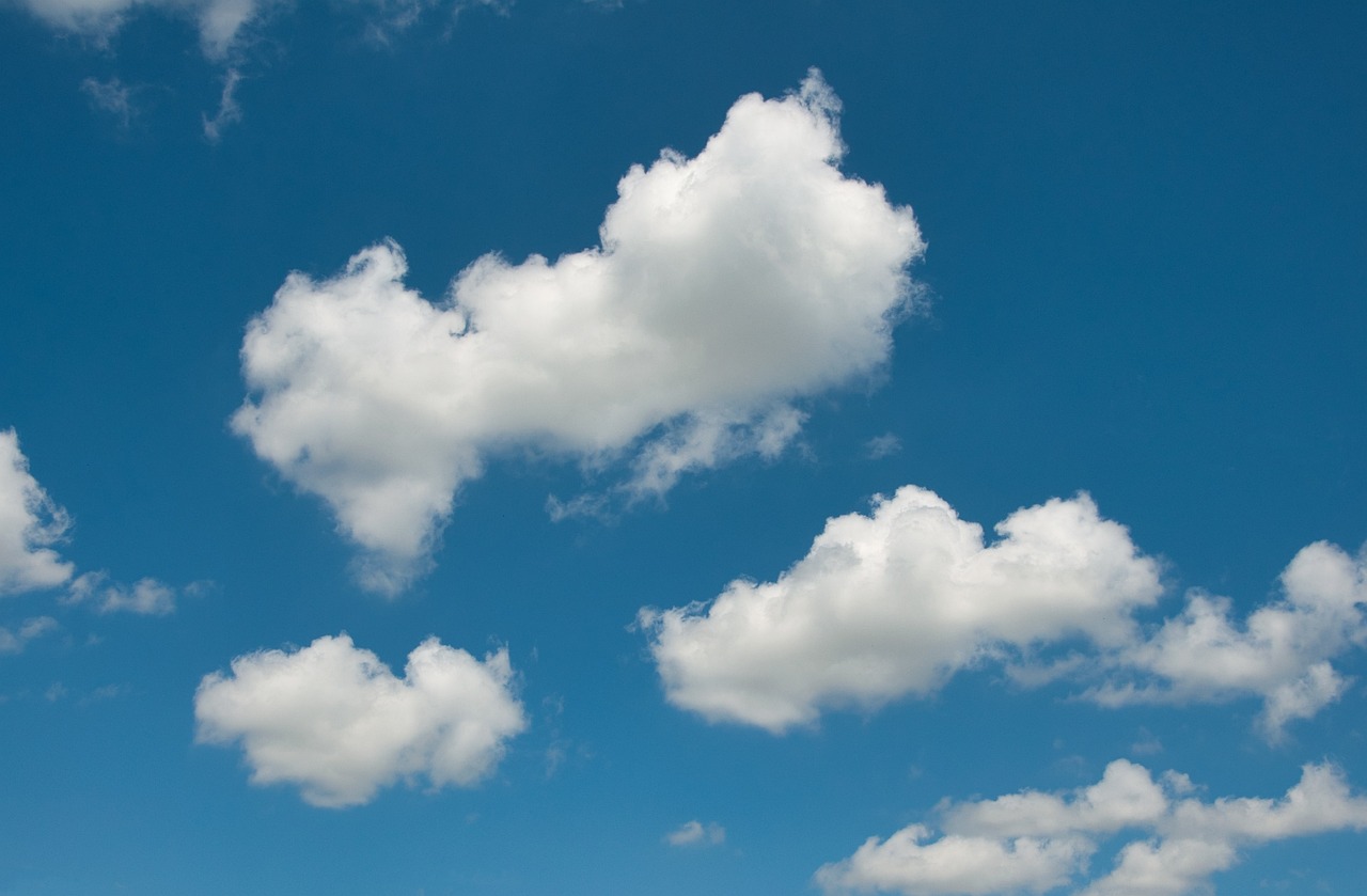décembre 2025 : Célébrons la Journée Mondiale du Climat pour un avenir durable