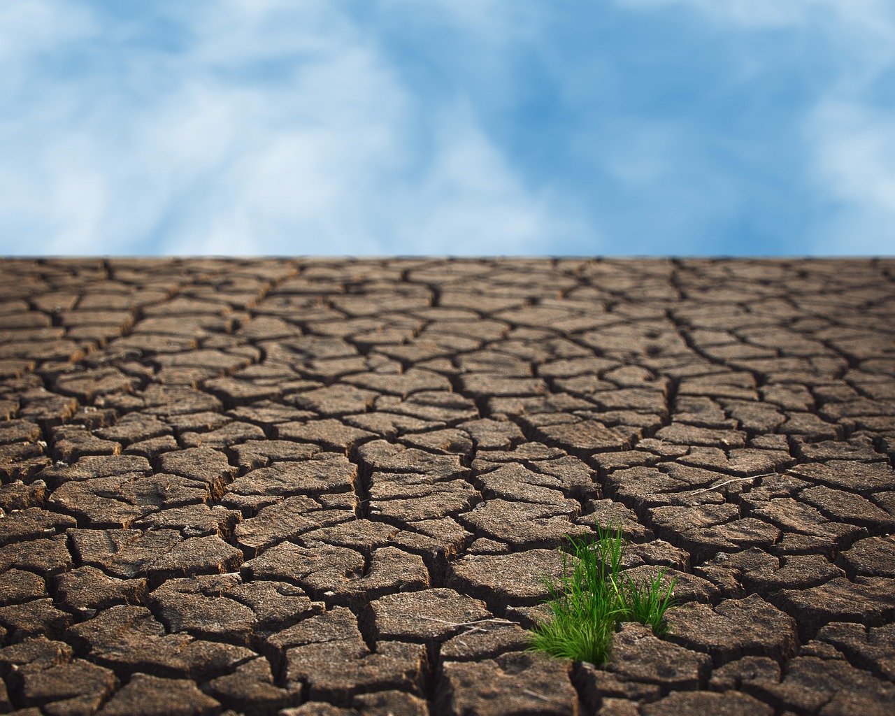 L’Ile-de-France face aux défis du changement climatique : un retard à combler
