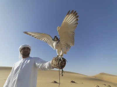 Les Émirats arabes unis quittent l’Opep : quelles conséquences pour la production mondiale de pétrole ?