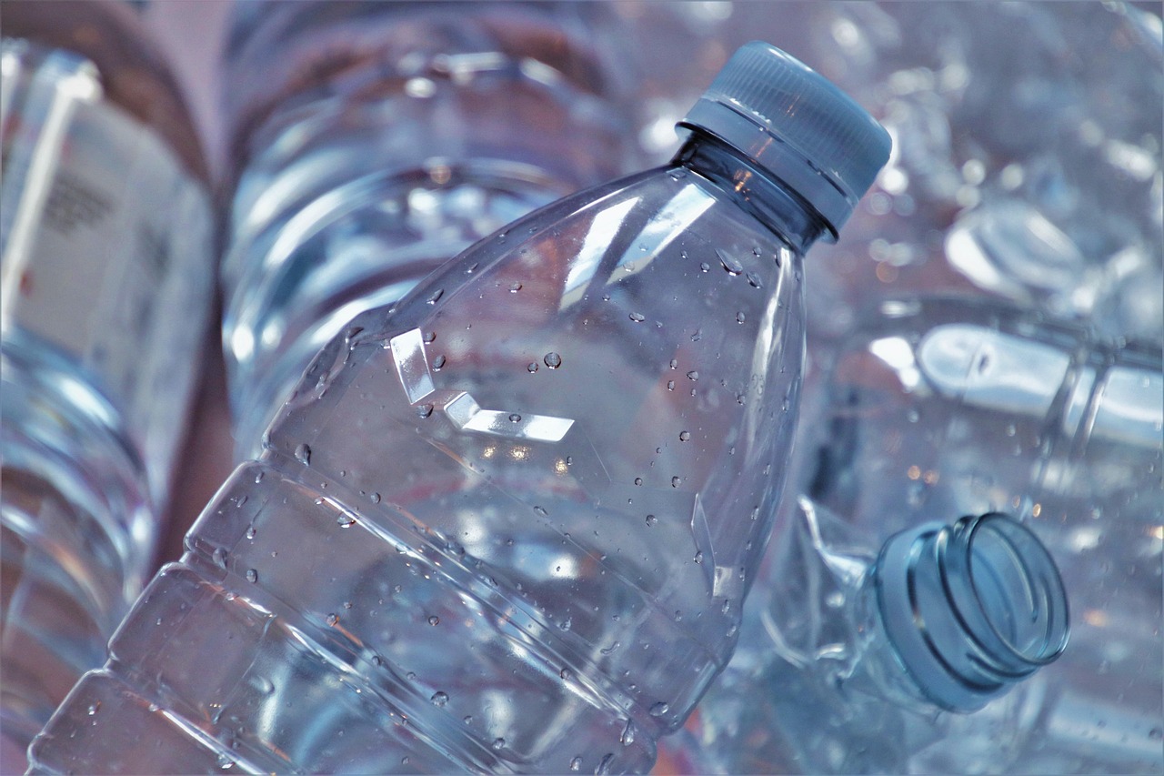 Environnement : Découvrez Banlieue Climat, l’association honorée aux Flammes 2026 pour son engagement durable
