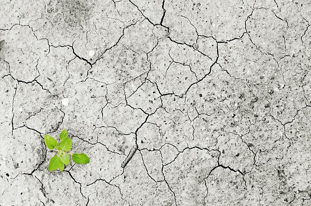 Climat : l’AMOC, courant océanique vital, pourrait s’affaiblir de 50 % d’ici 2100 – quelles répercussions attendues ?