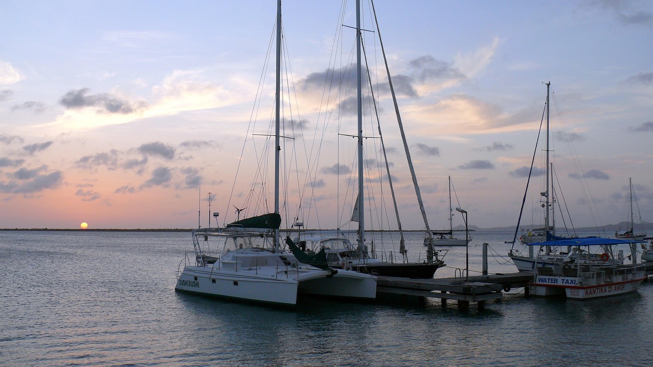 Ces habitants de Bonaire en première ligne pour préserver leur île face au défi climatique