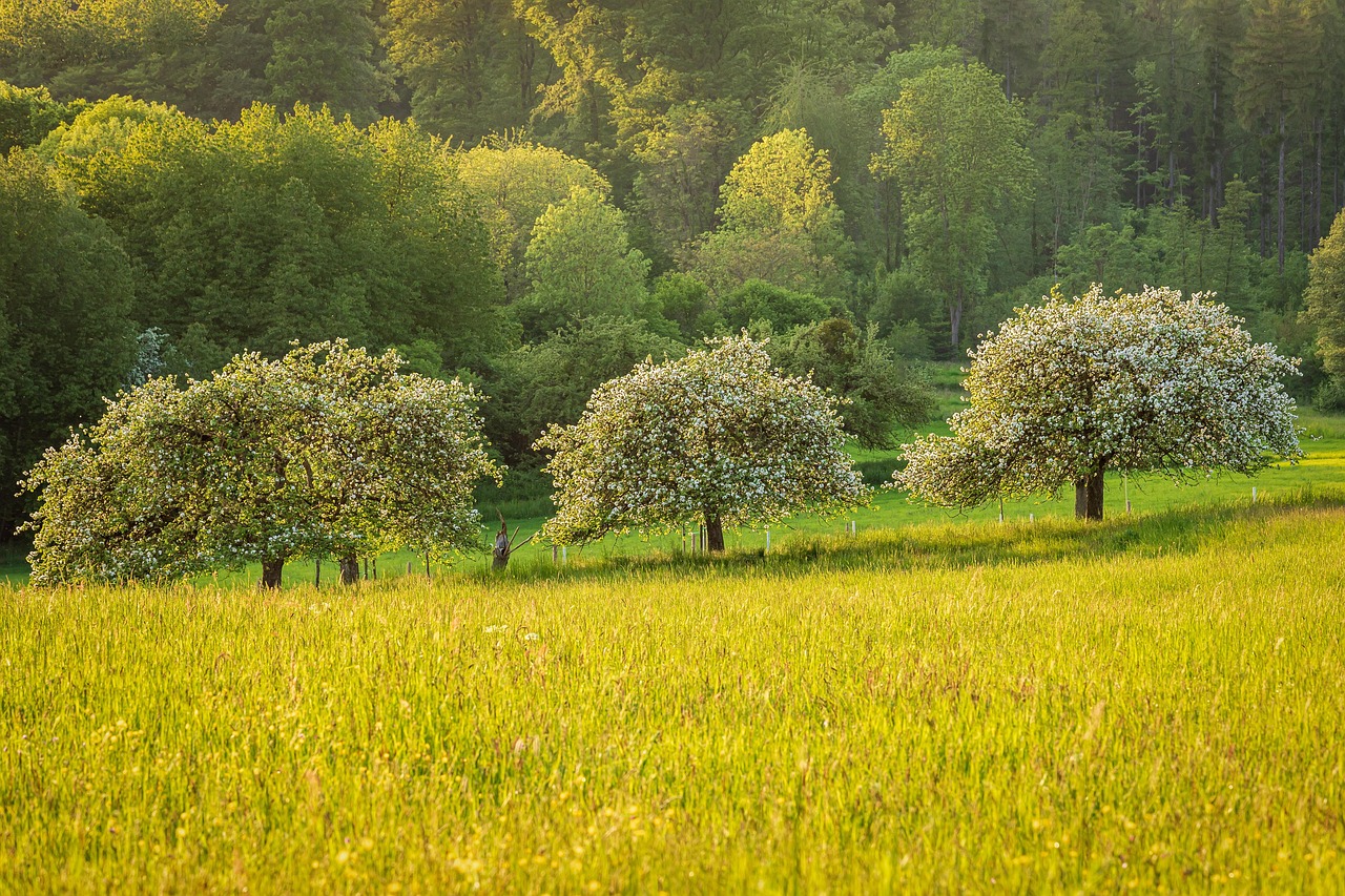« Trees on the Way » : une escale inspirante à Singapour