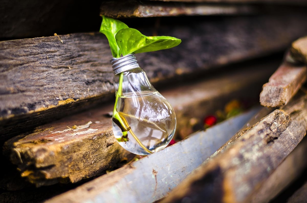 Upcycling : des idées créatives pour transformer vos objets du quotidien