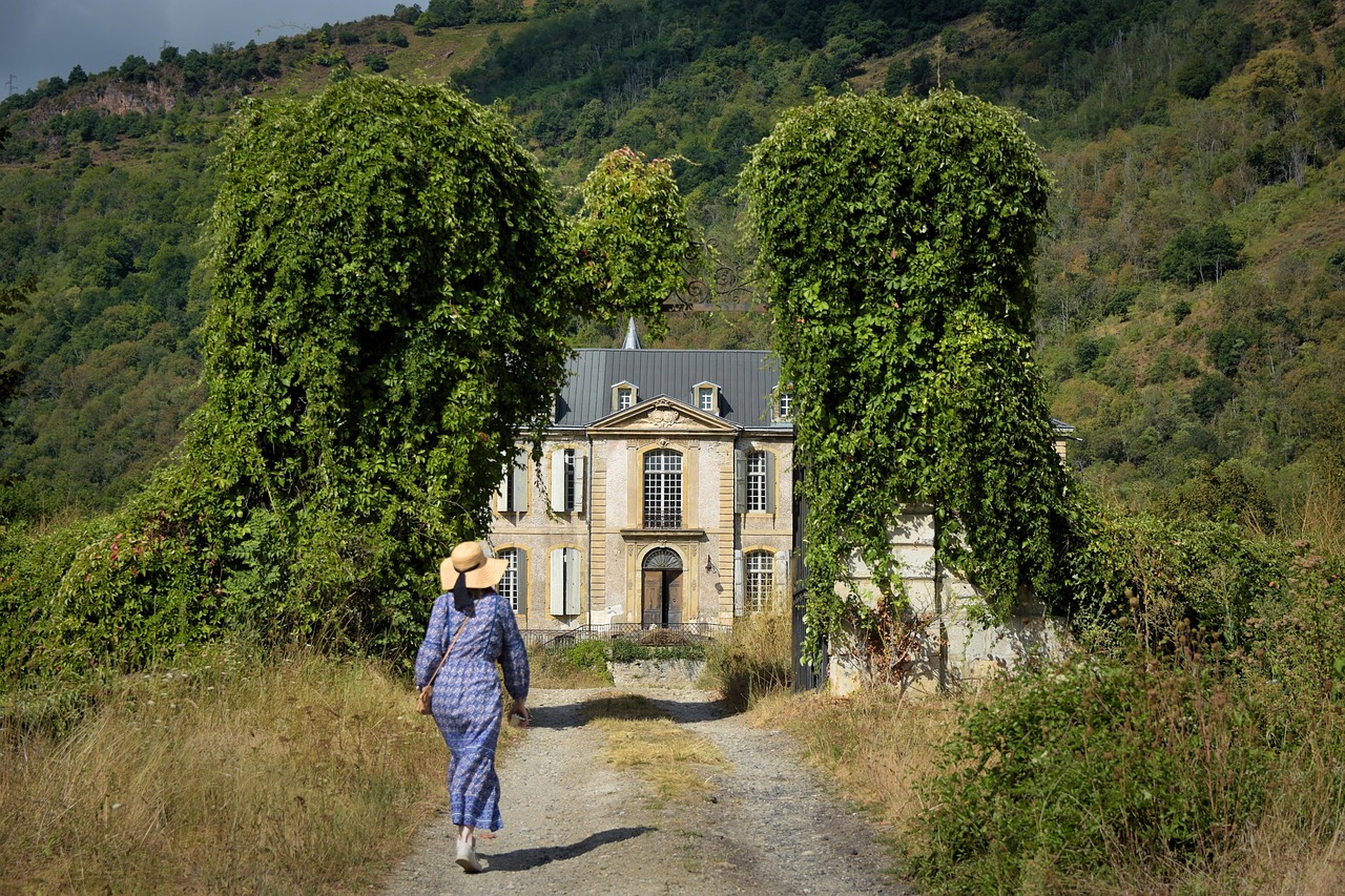 Restauration des écosystèmes : une solution pour le climat ?