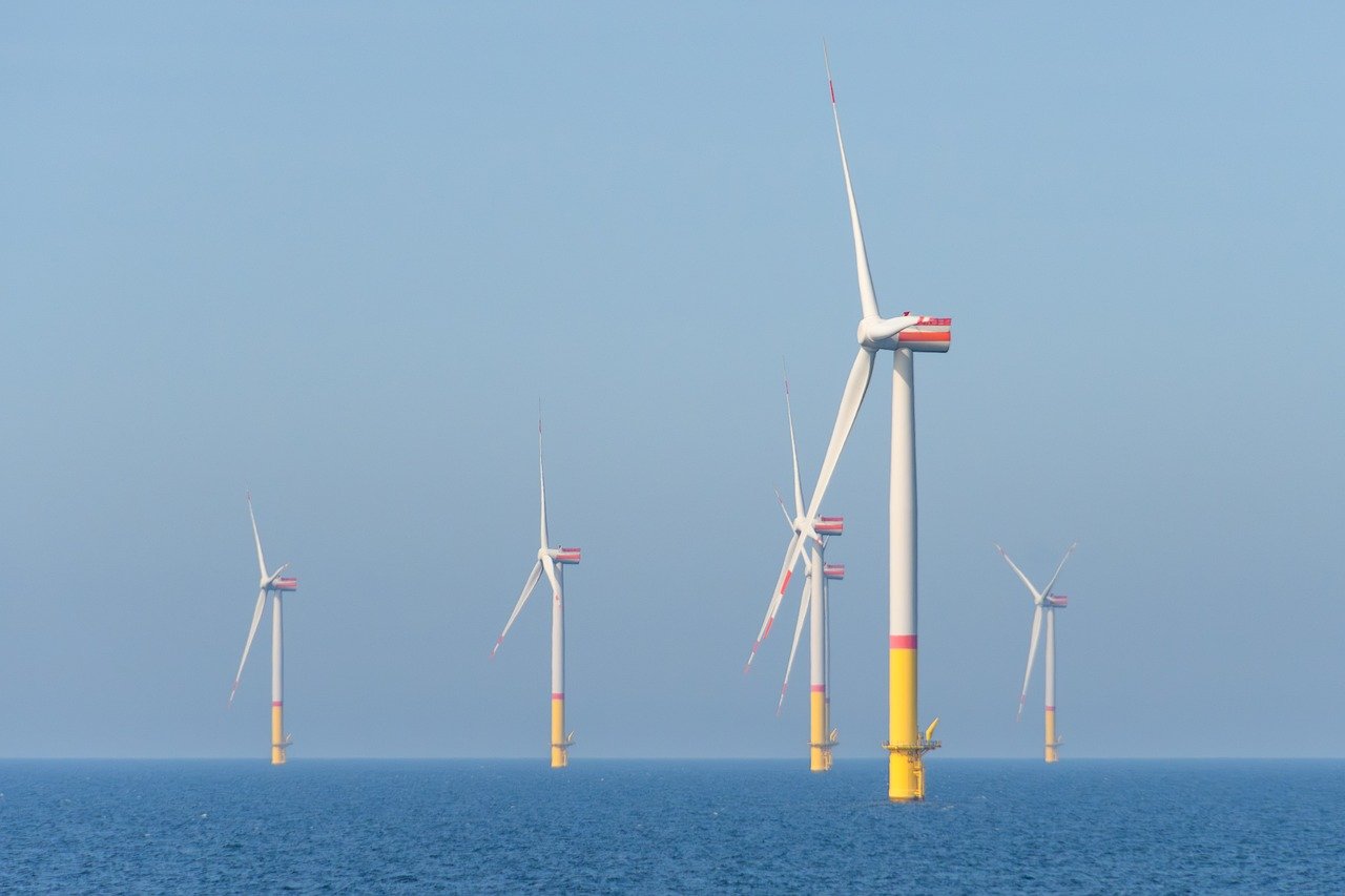 Transition énergétique : découvrez les dernières analyses du WWF France dans son nouveau rapport