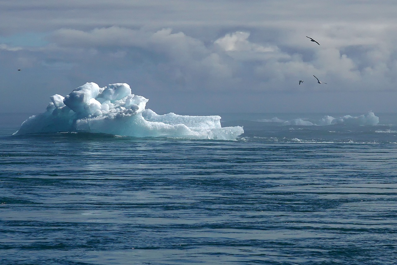 Changement climatique : enjeux et solutions à travers l’éducation