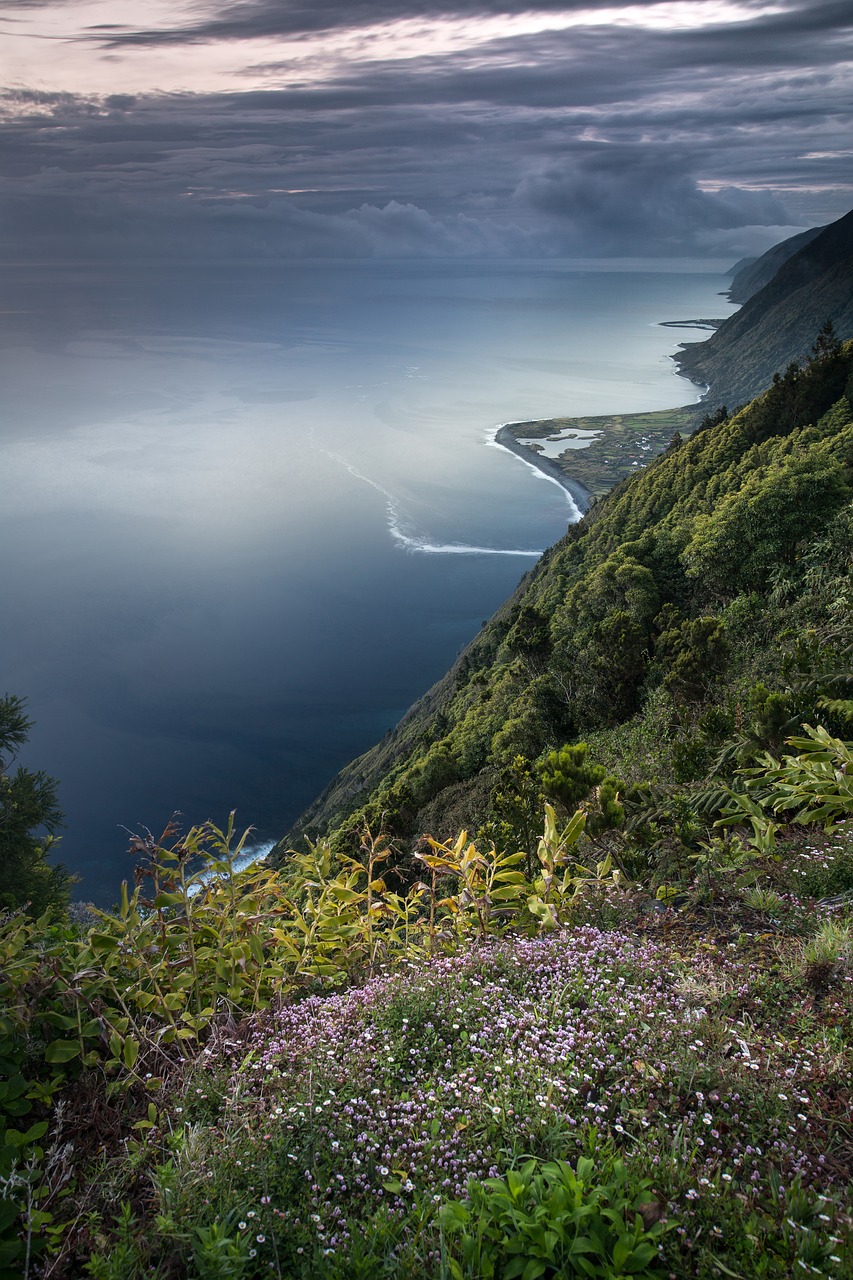 L’importance de la biodiversité pour un écosystème sain