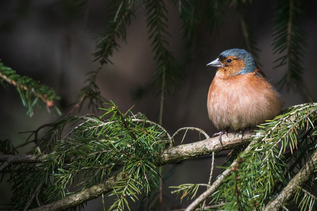 Vers une nouvelle approche : Adaptation des pratiques de conservation-restauration face aux enjeux environnementaux