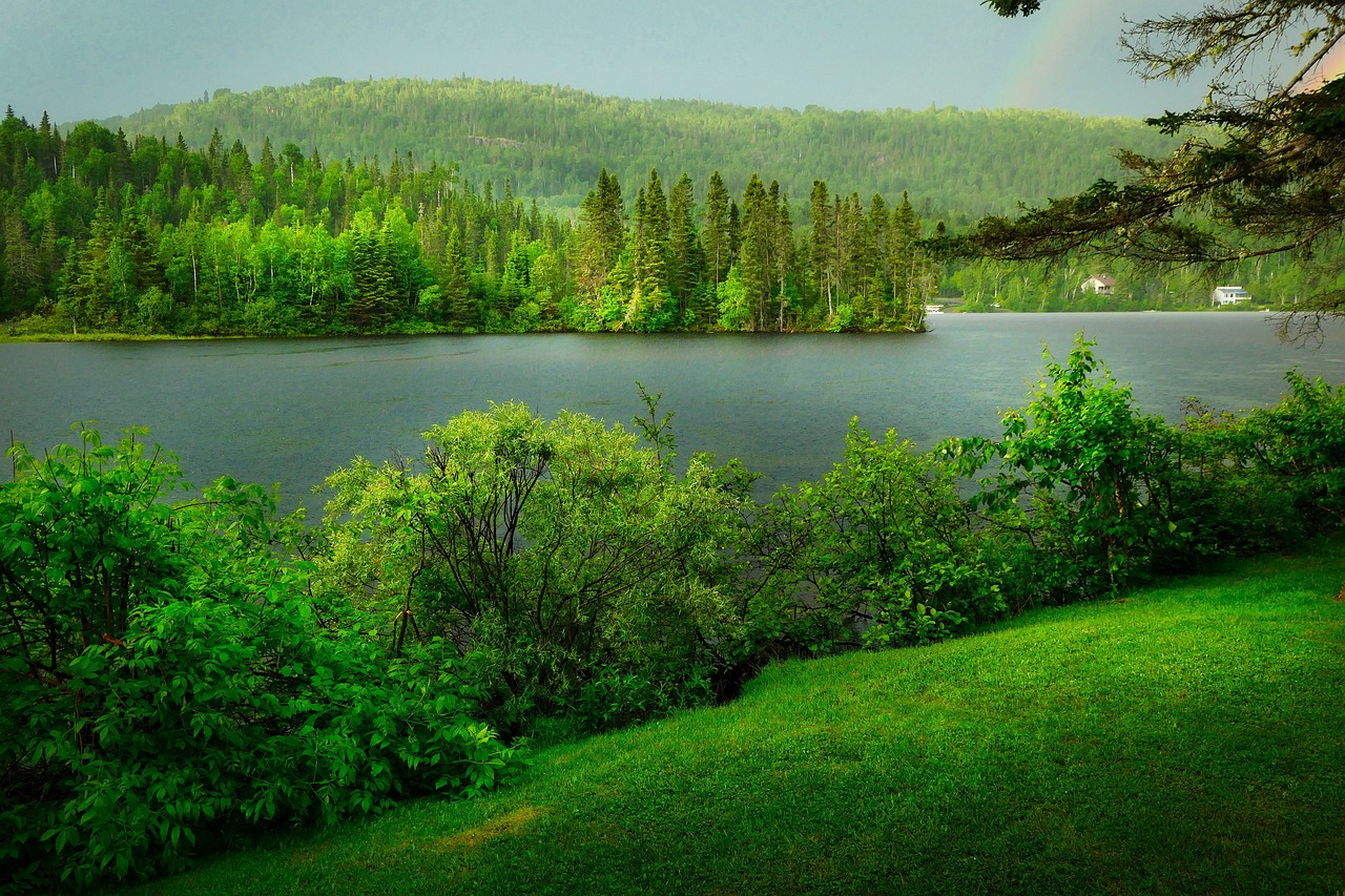 découvrez l'importance de la biodiversité pour notre planète et les écosystèmes. explorez comment la diversité des espèces contribue à l'équilibre naturel, à la santé des environnements et à notre bien-être. engagez-vous à préserver notre richesse naturelle pour les générations futures.