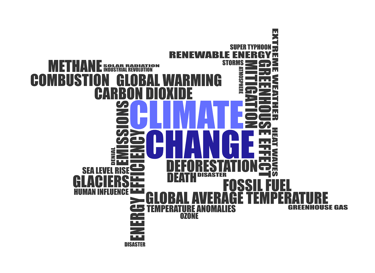 découvrez les enjeux et stratégies de la politique climatique mondiale, visant à lutter contre le changement climatique et à promouvoir un développement durable pour les générations futures.