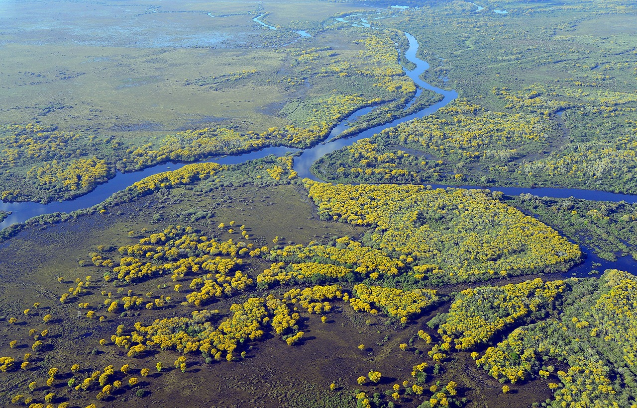 découvrez les richesses des zones humides méditerranéennes, un écosystème unique abritant une biodiversité fascinante et essentielle. explorez leur rôle crucial dans la régulation climatique, la protection des espèces et la préservation de l'environnement. plongez dans l'univers des marais, des lagunes et des estuaires méditerranéens, témoins d'un patrimoine naturel exceptionnel.