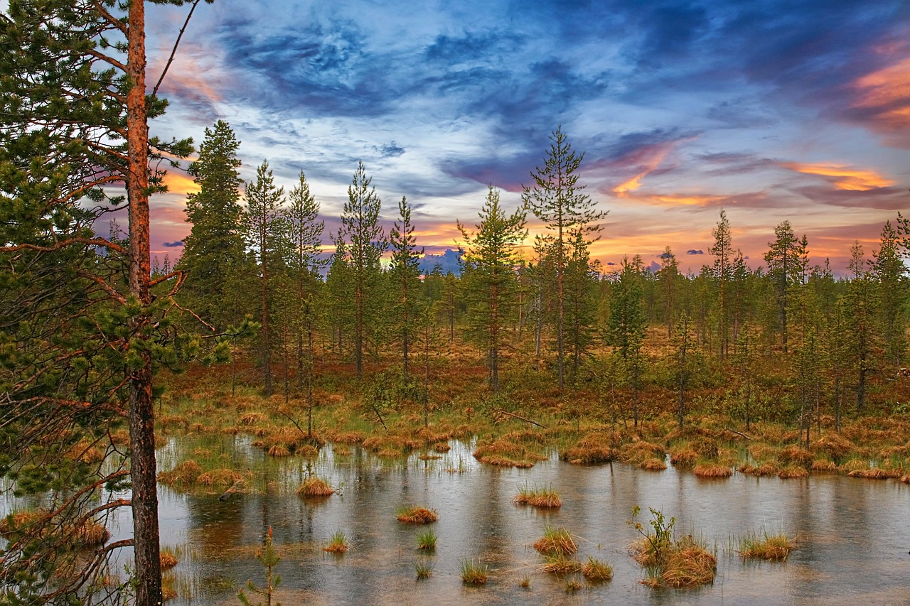 découvrez la beauté et la biodiversité des zones humides méditerranéennes. ces écosystèmes précieux, riches en faune et flore, jouent un rôle essentiel dans la protection de l'environnement et offrent des paysages à couper le souffle. explorez leurs caractéristiques uniques et leur importance pour la conservation.