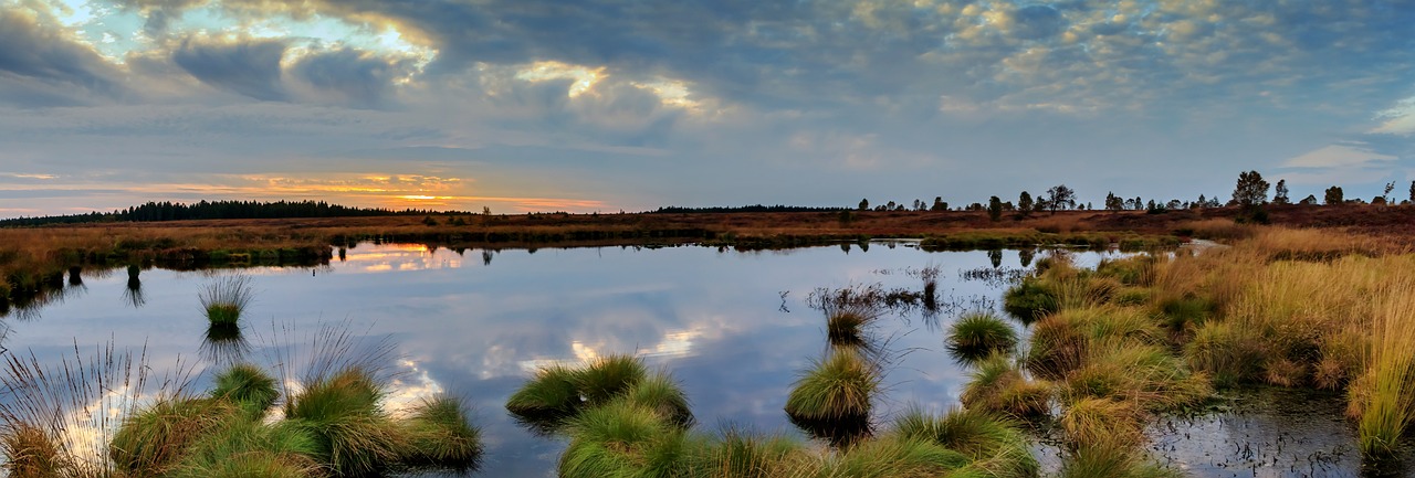 découvrez la beauté et la biodiversité des zones humides méditerranéennes, essentielles pour l'environnement. explorez leurs écosystèmes uniques, leurs espèces emblématiques et l'importance de leur conservation.