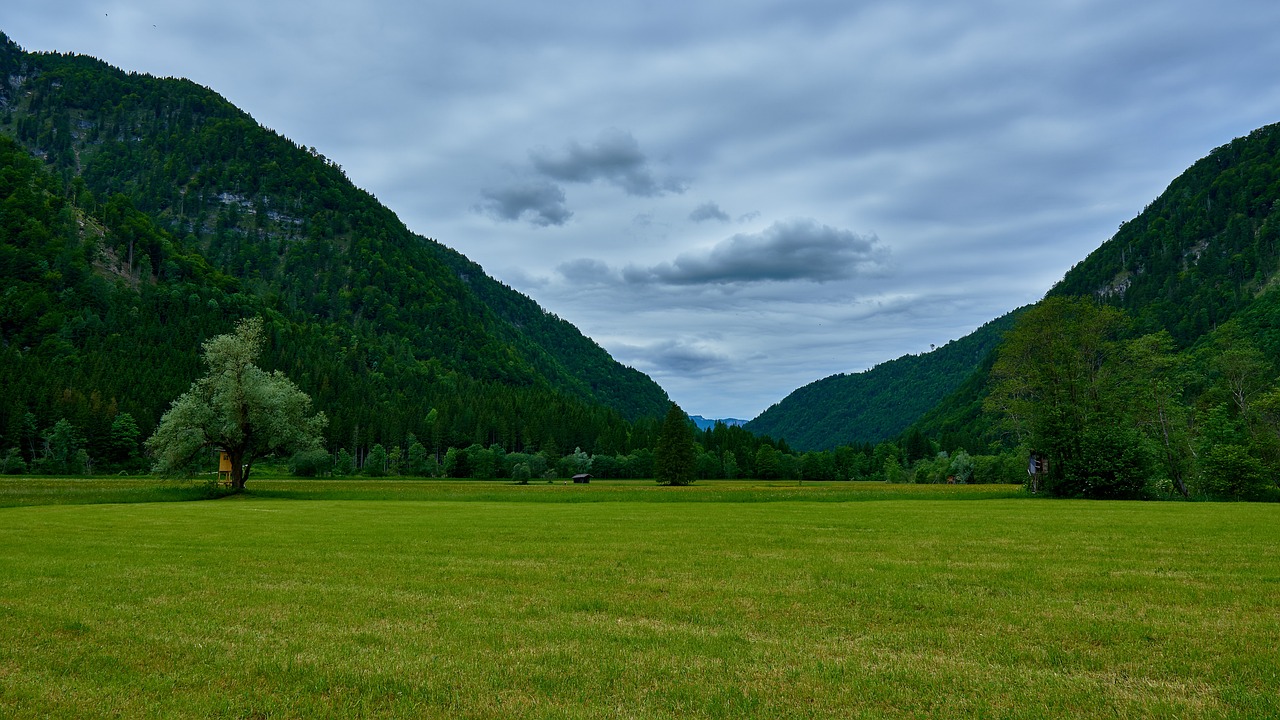 découvrez l'importance des zones forestières protégées pour la biodiversité et la conservation de l'environnement. explorez comment ces espaces préservés contribuent à la durabilité écologique et à la protection des espèces menacées.