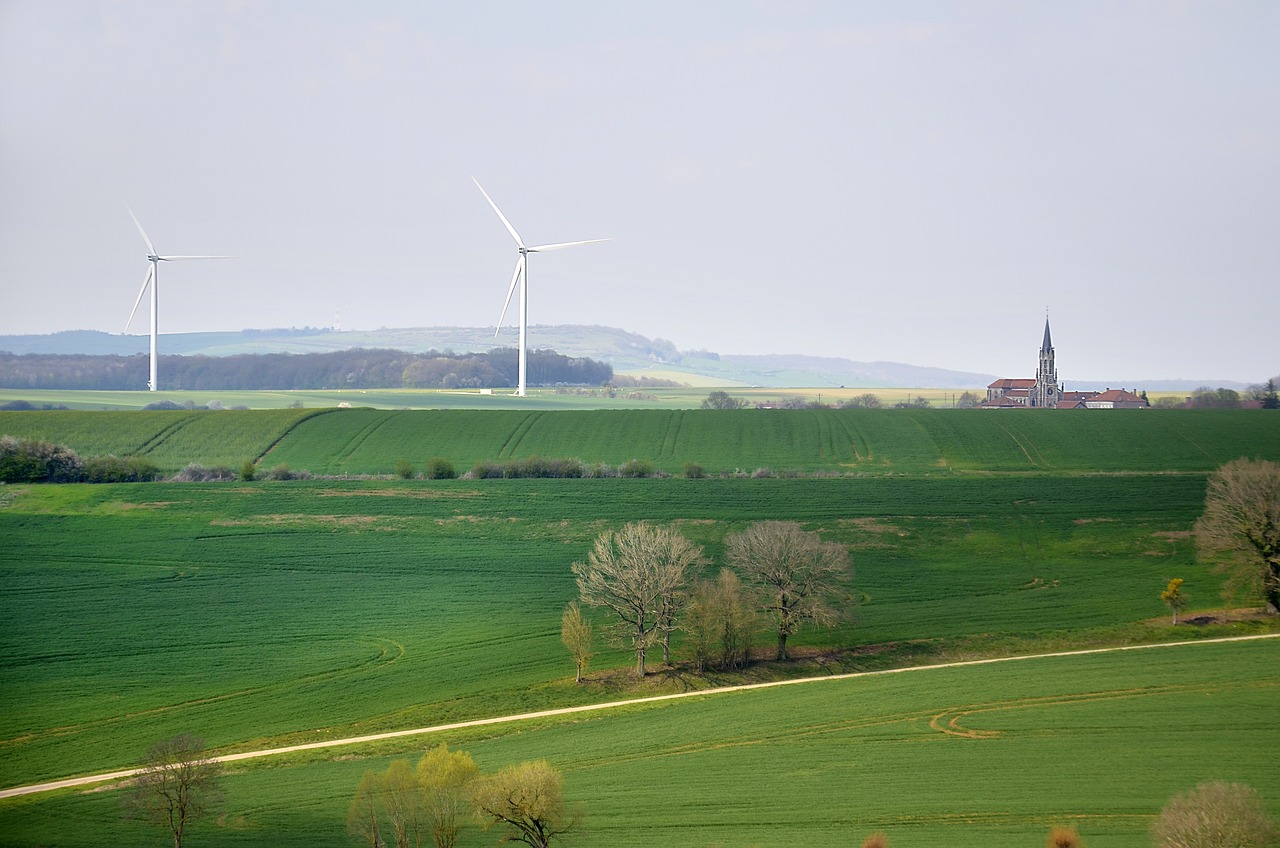 découvrez les principes du développement durable, une approche essentielle pour préserver notre planète tout en répondant aux besoins des générations présentes et futures. explorez des stratégies et des exemples concrets pour intégrer la durabilité dans votre mode de vie.